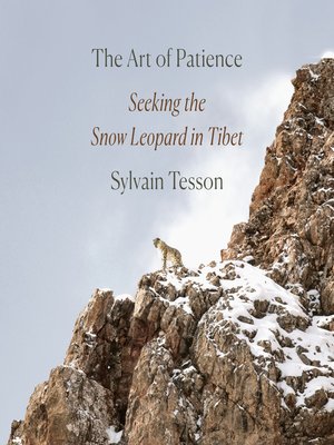 cover image of The Art of Patience